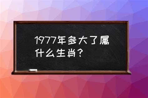 1977生肖|1977年属什么生肖